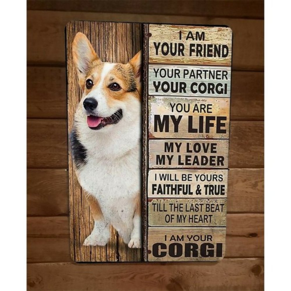 I am Your Corgi Your‎ Friend Your Partner 8x12 Metal Wall Sign